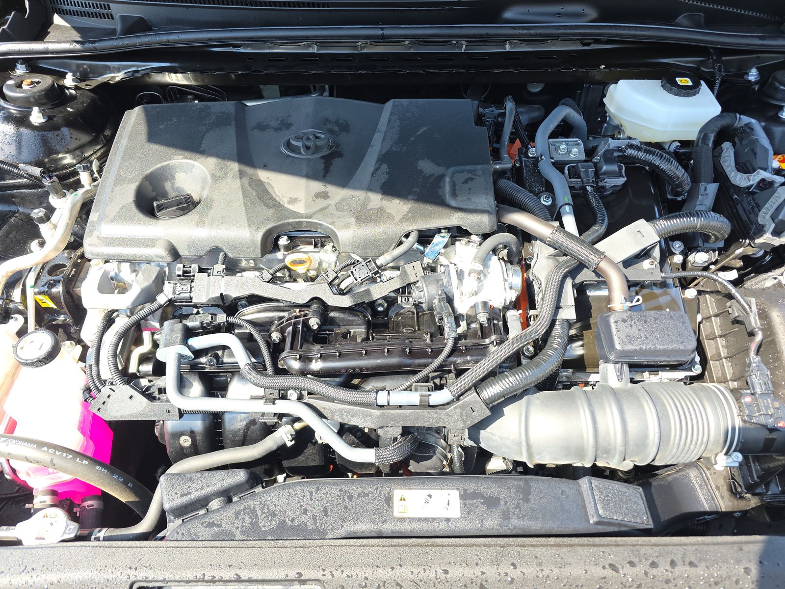 2025 Toyota Camry XLE AWD