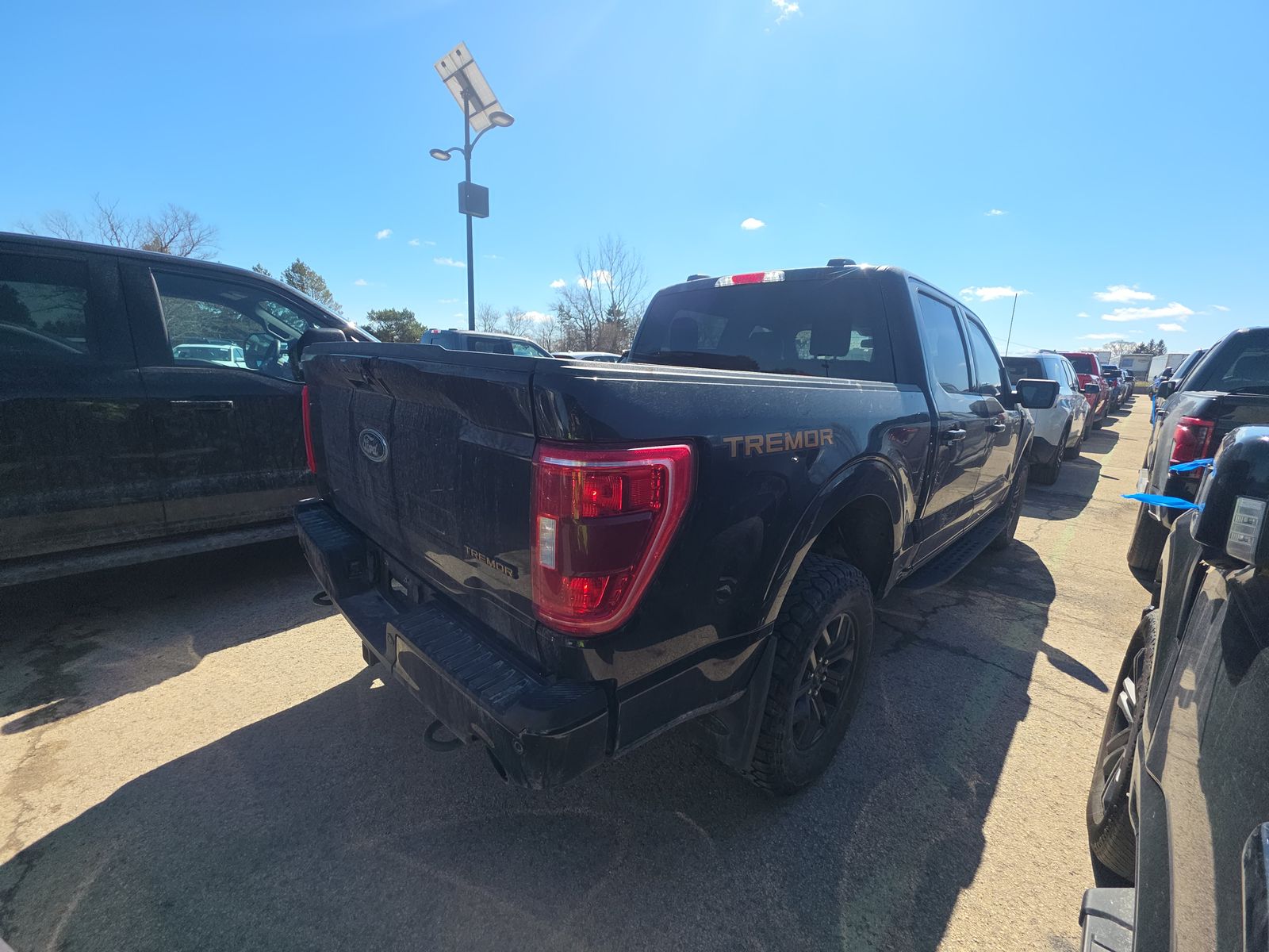 FORD F-150 - 5
