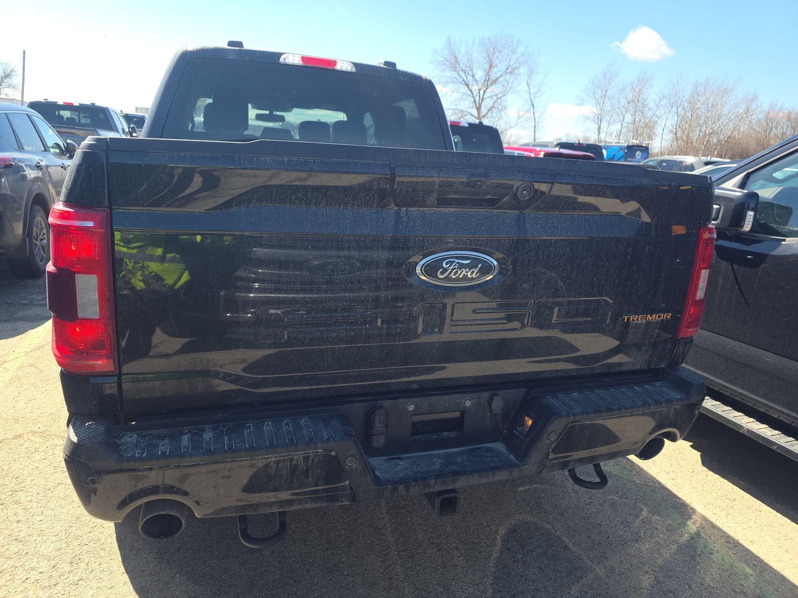 FORD F-150 - 6