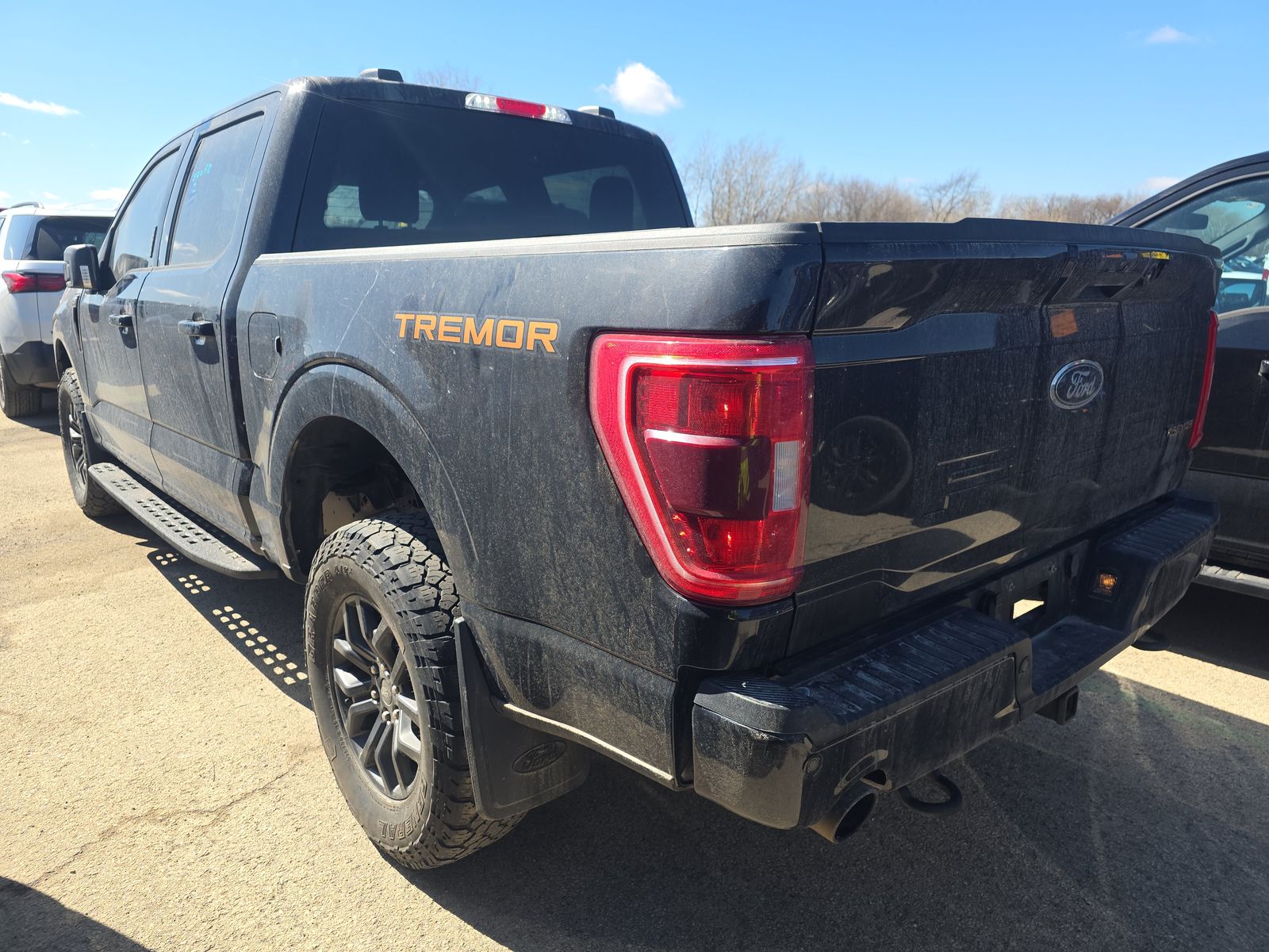 FORD F-150 - 7