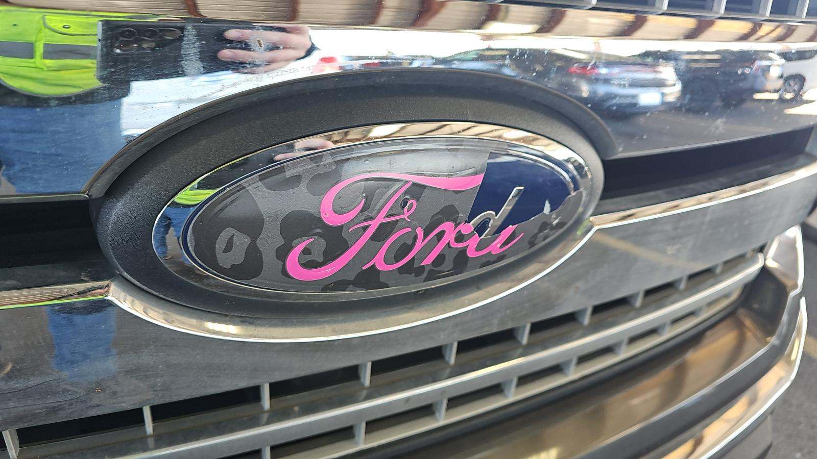 2019 Ford F-150 XLT AWD