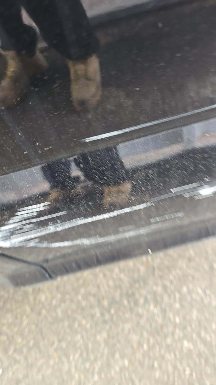 2019 Ford F-150 Lariat AWD