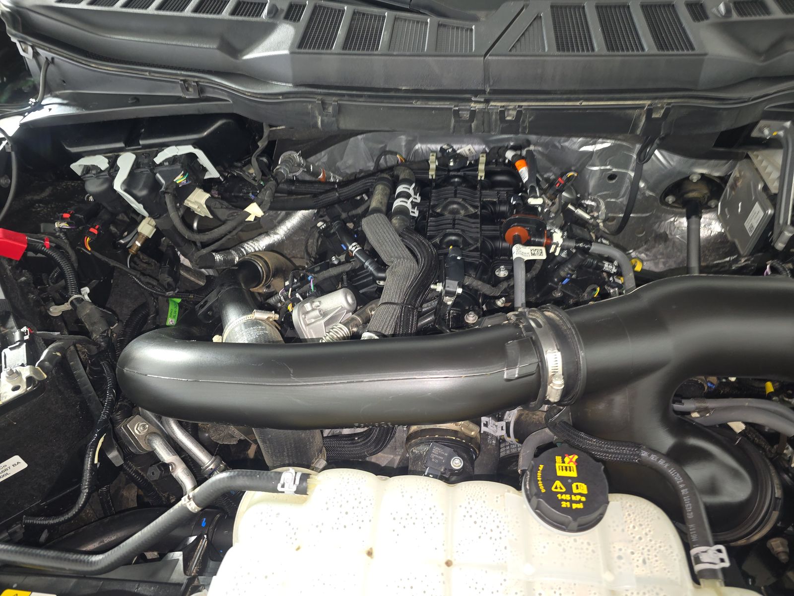 2025 Ford F-150 XLT AWD