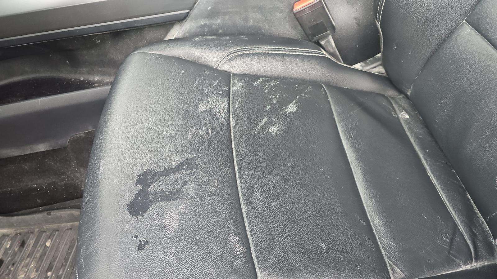 2024 Ford F-150 XLT AWD