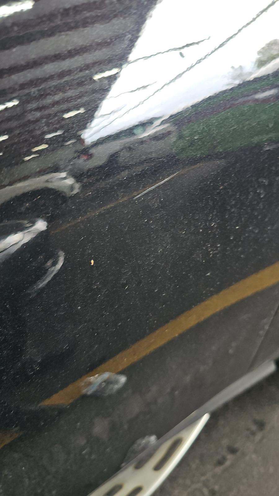 2020 Mercedes-Benz GLE GLE 350 RWD