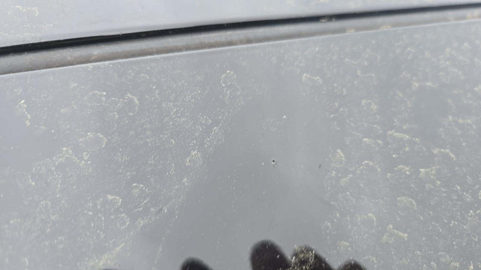 2024 Ford Mustang GT Premium RWD