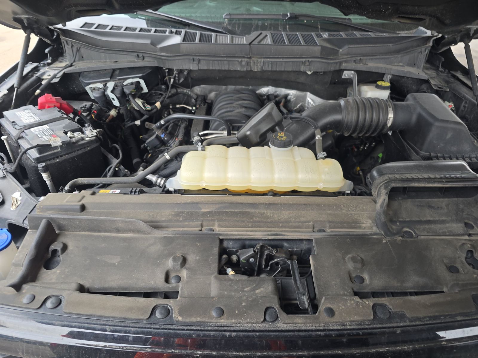 2024 Ford F-150 XLT AWD