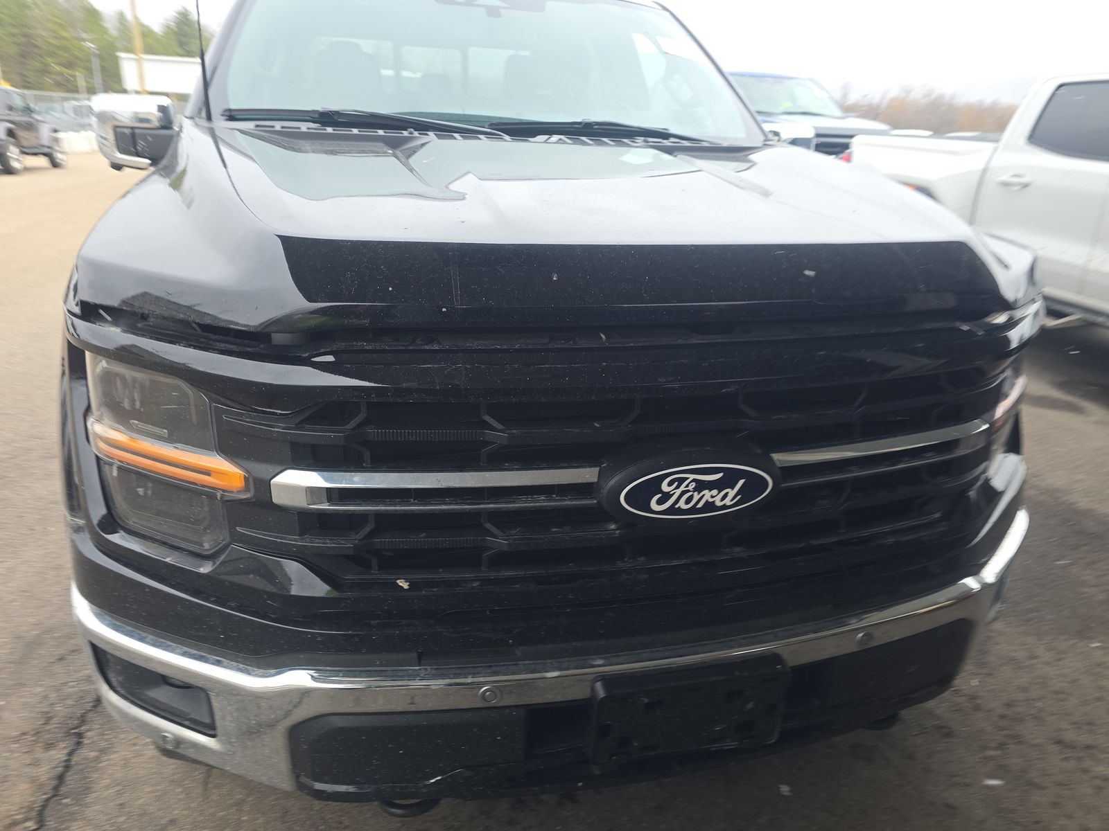 2024 Ford F-150 XLT AWD