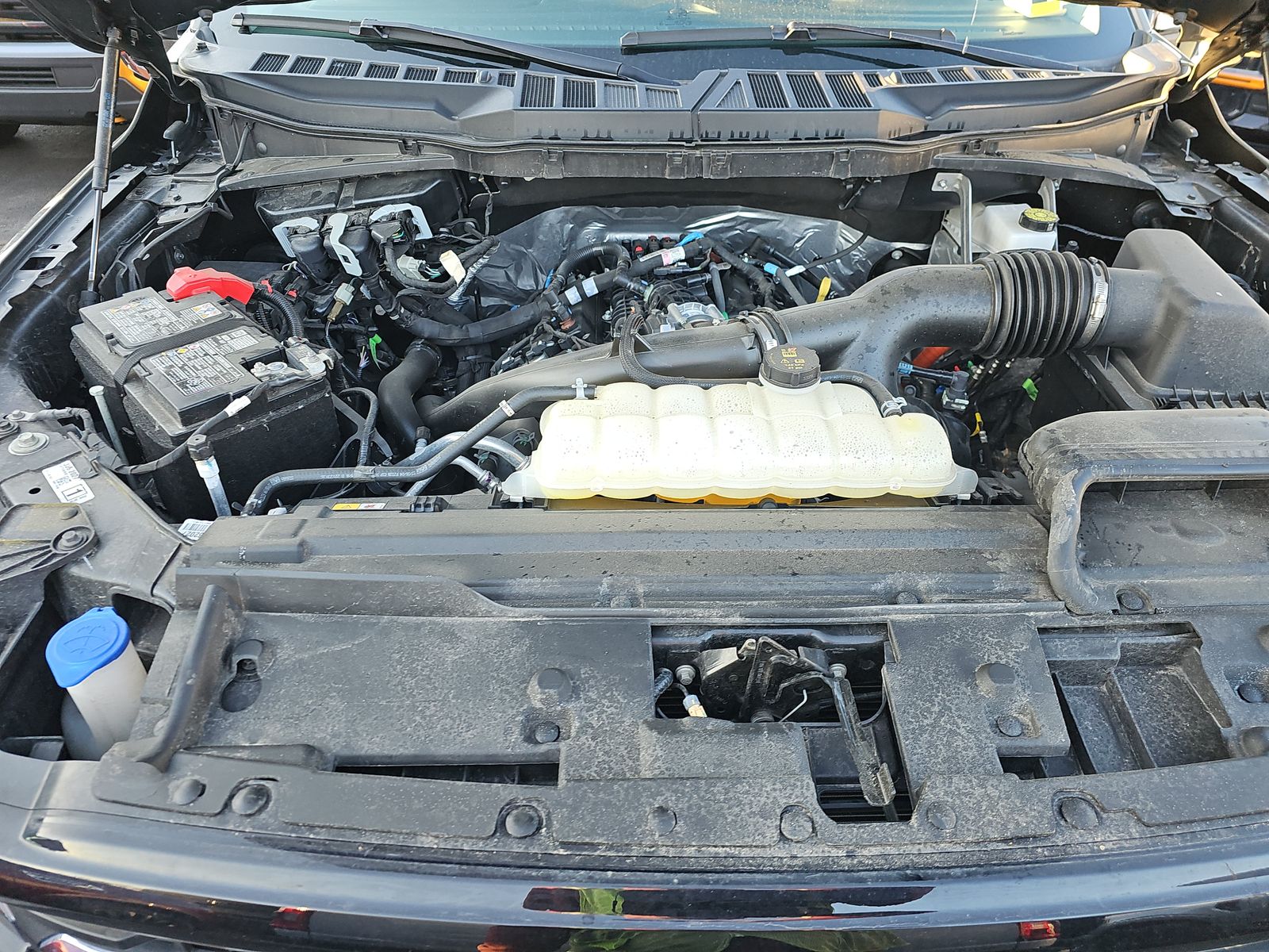 2025 Ford F-150 XLT AWD