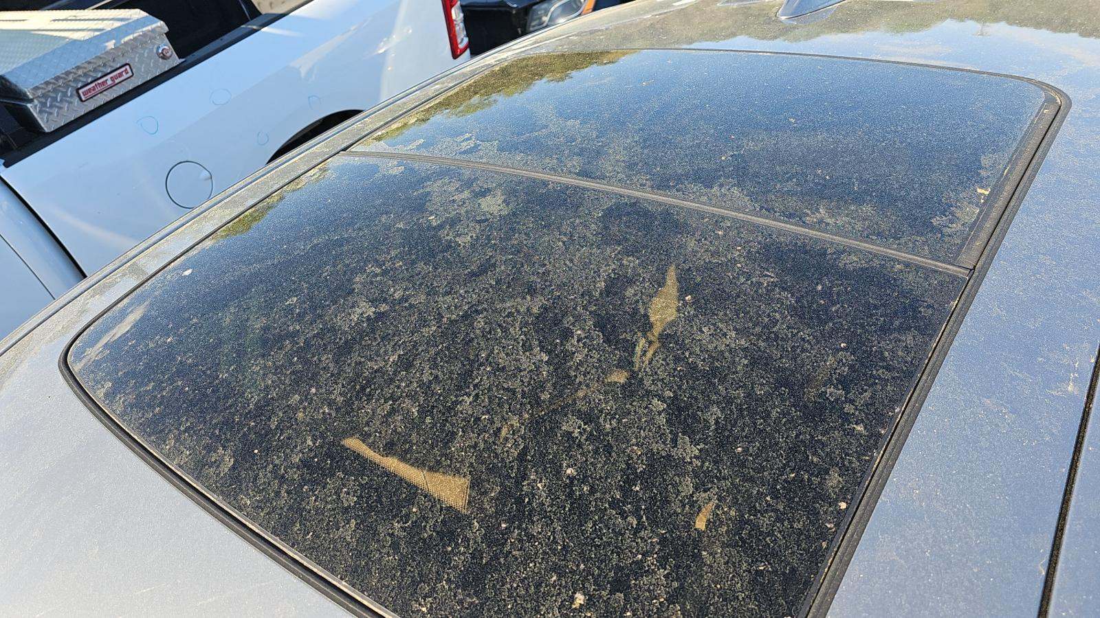 2025 BMW X6 xDrive40i AWD