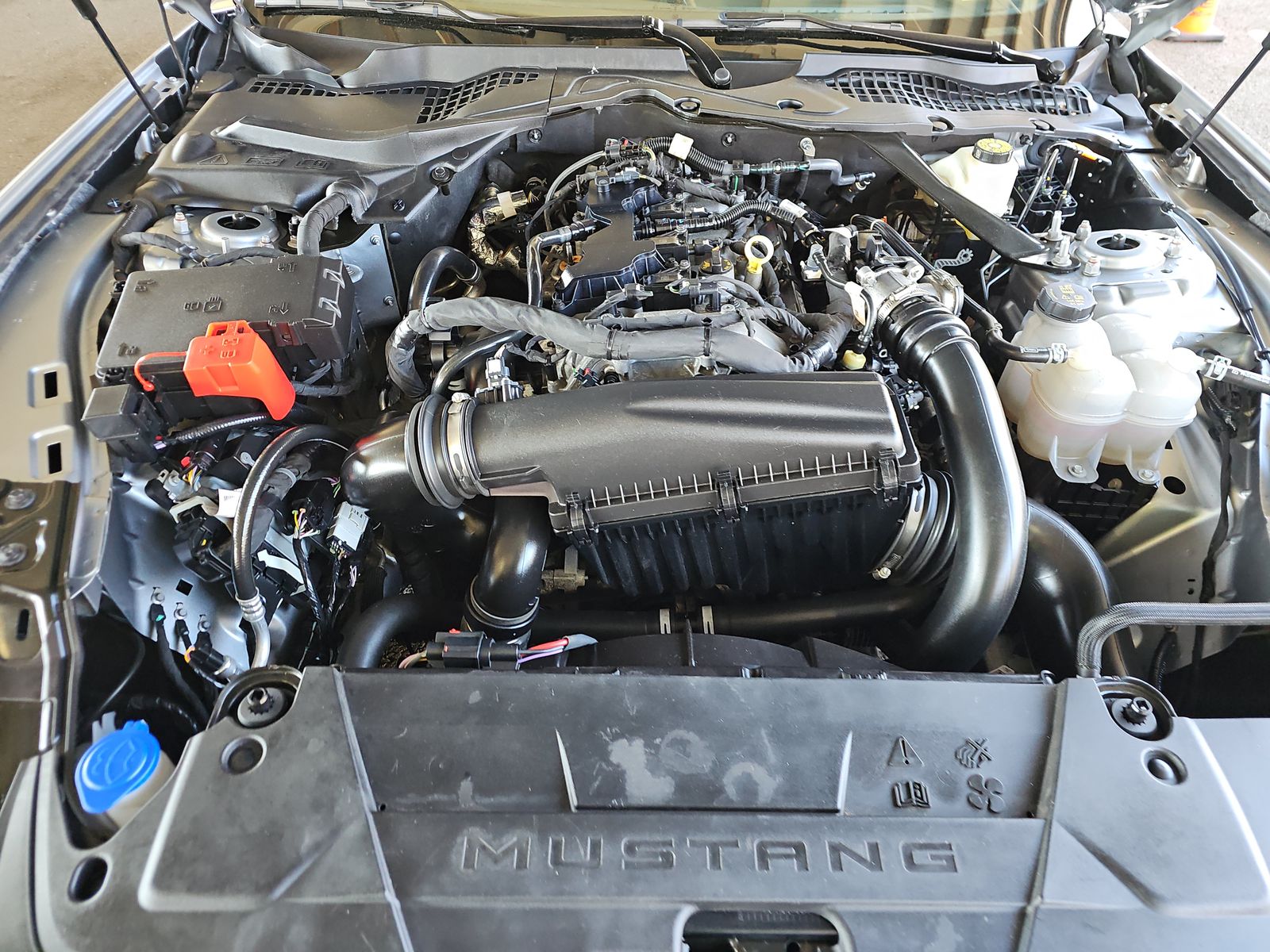 2024 Ford Mustang EcoBoost Premium RWD