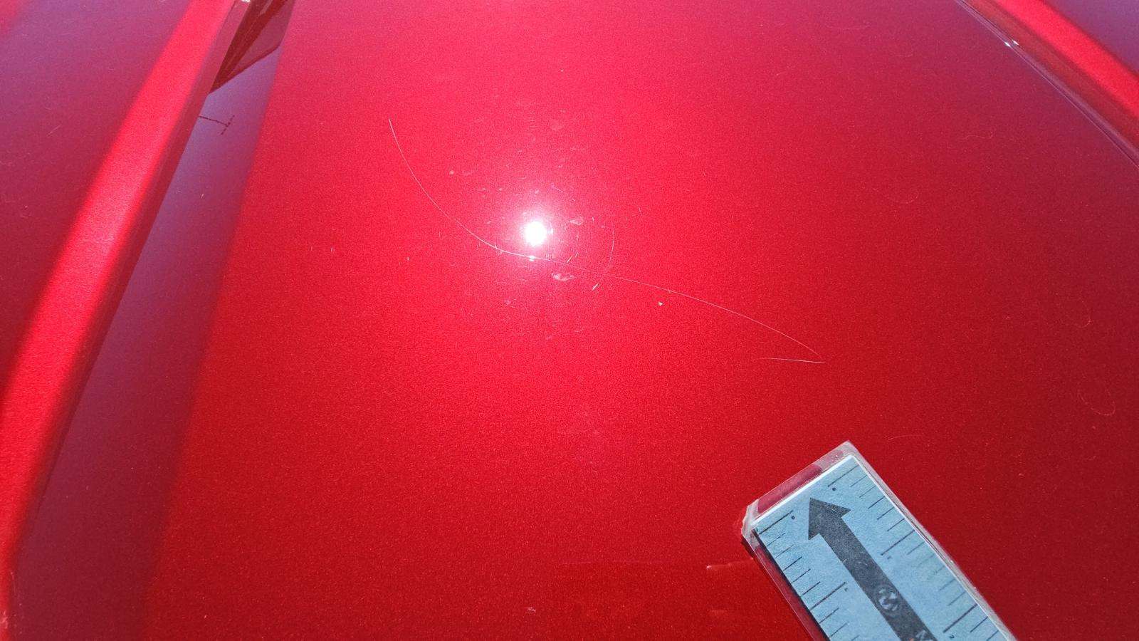 2025 Ford F-150 XLT AWD