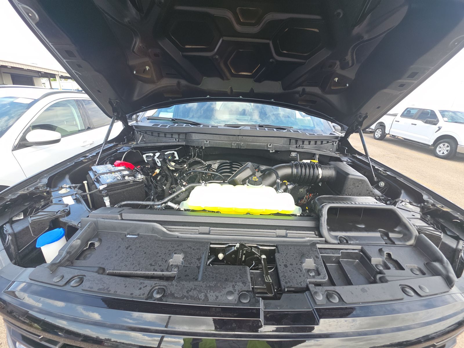 2025 Ford F-150 STX AWD