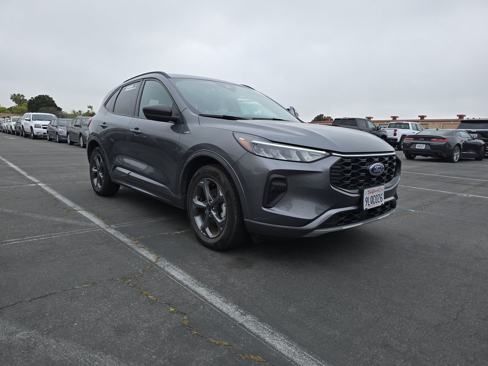 2024 Ford Escape ST-Line FWD