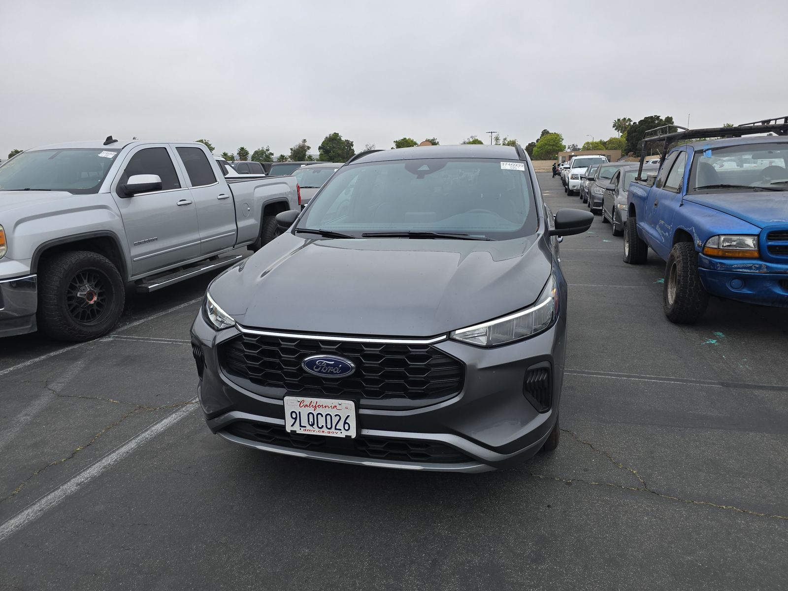 2024 Ford Escape ST-Line FWD