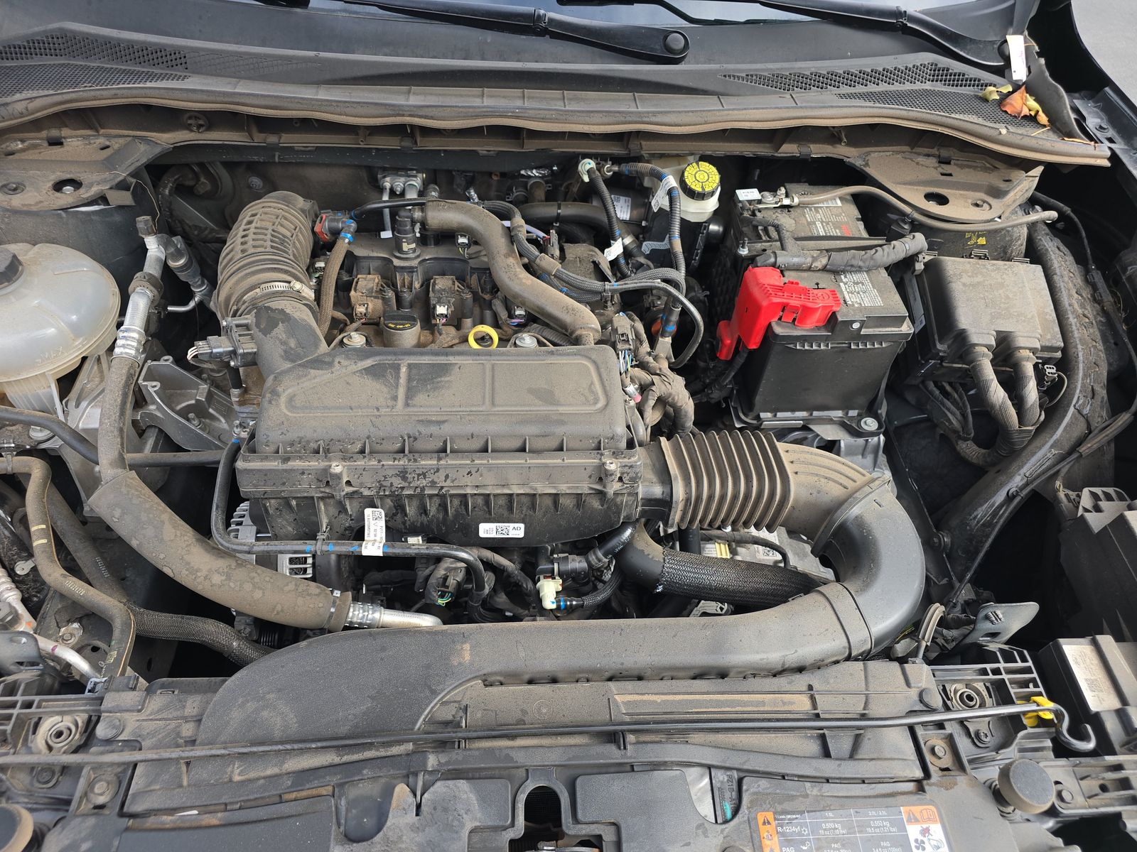 2024 Ford Escape ST-Line FWD