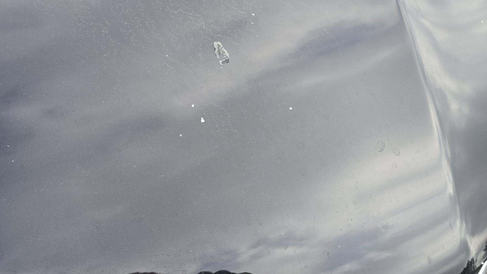 2024 Ford Escape ST-Line FWD