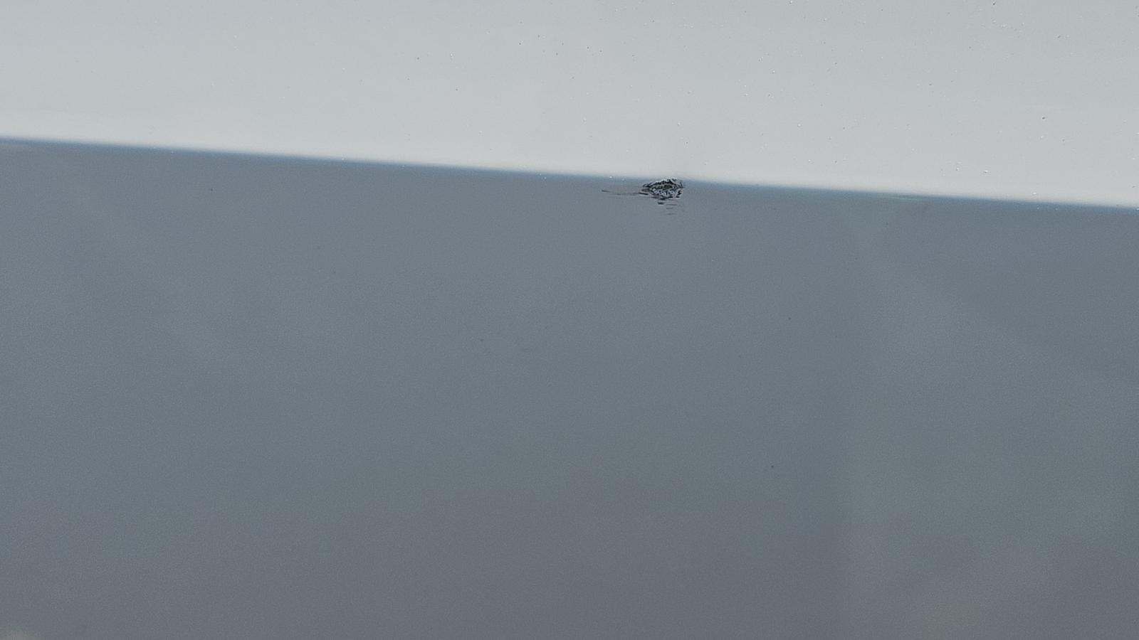 2019 BMW X5 xDrive40i AWD