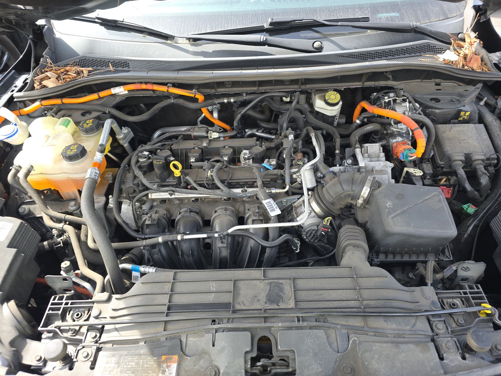 2022 Ford Escape Hybrid SEL FWD