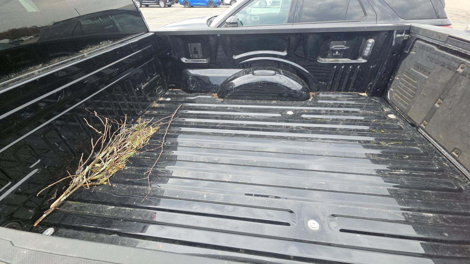 2023 Ford F-150 XL AWD