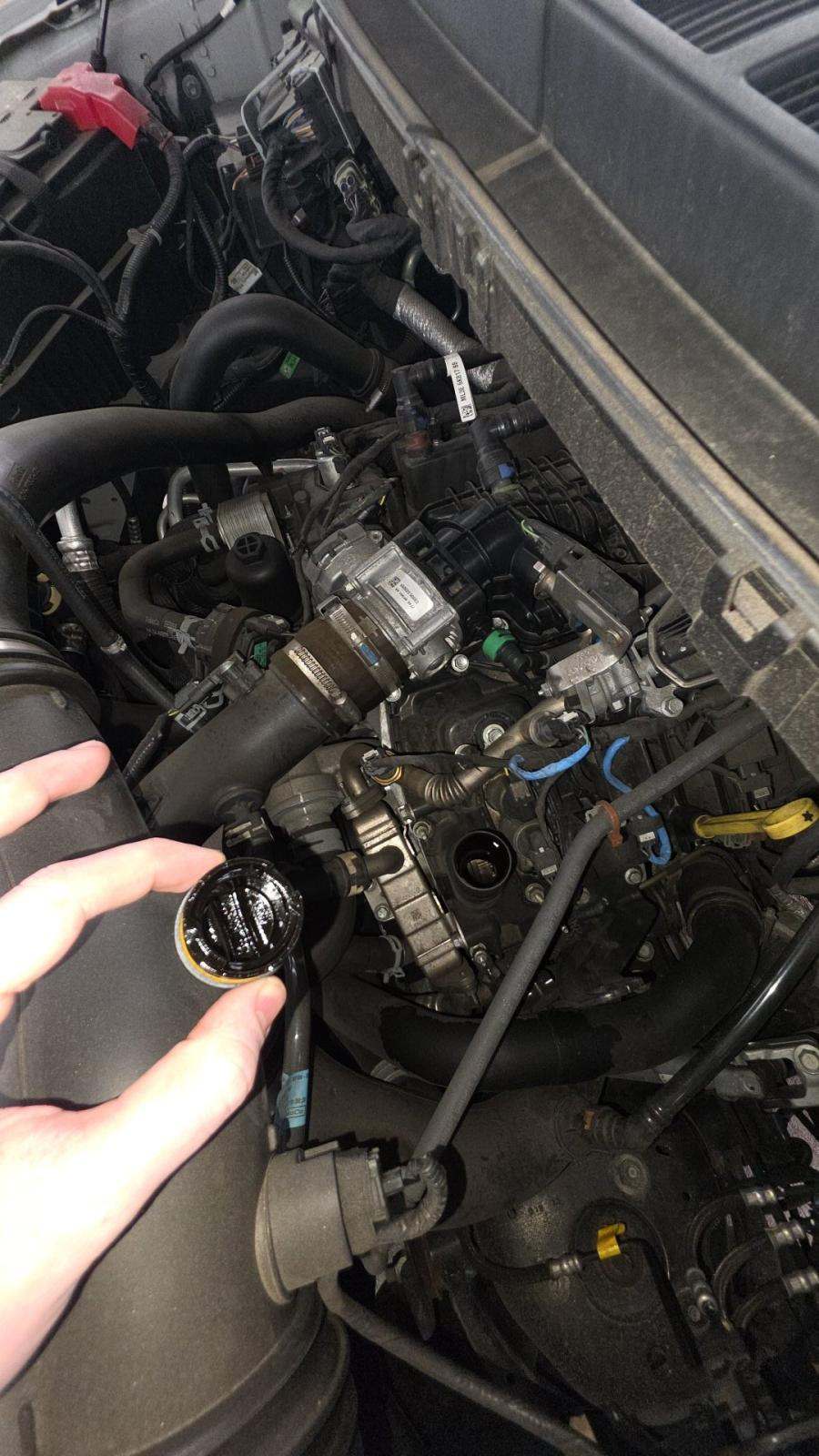 2023 Ford F-150 XL AWD