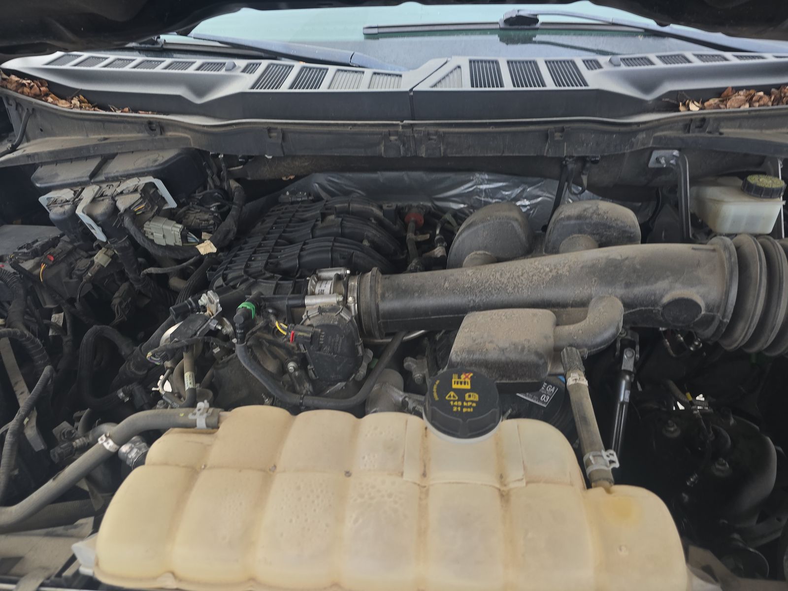 2021 Ford F-150 XLT AWD