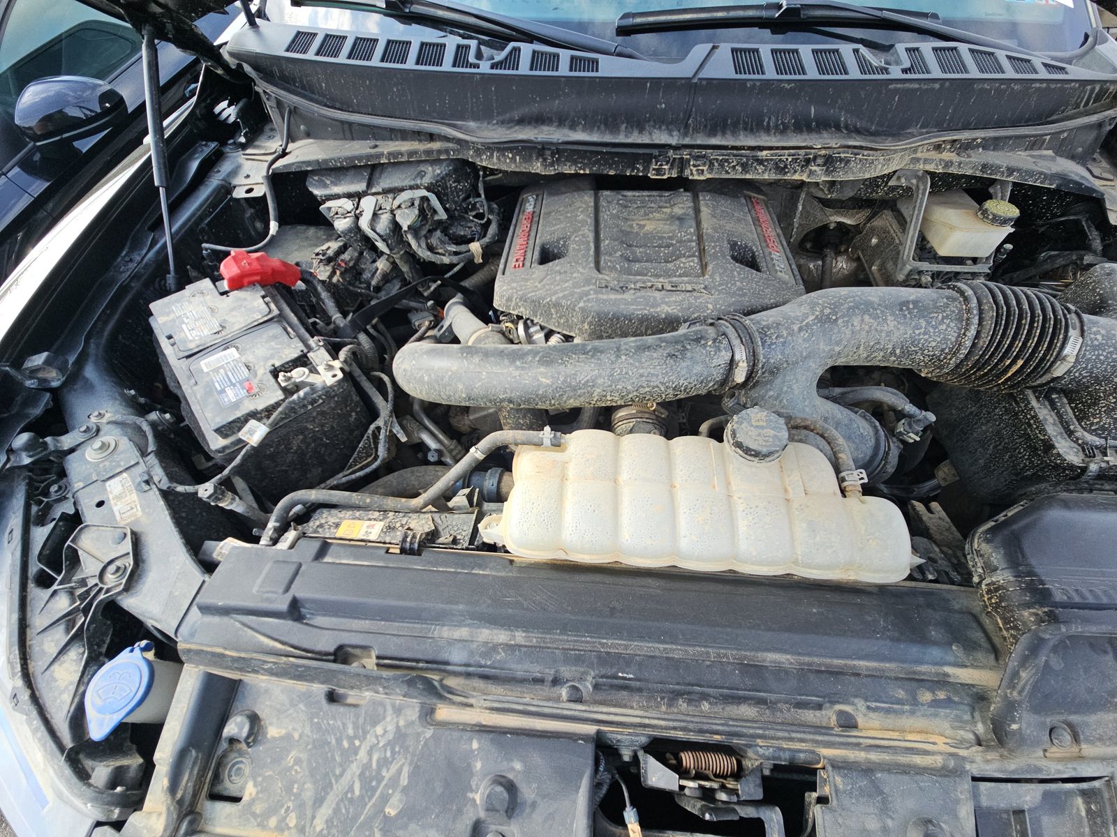 2024 Ford F-150 Raptor AWD