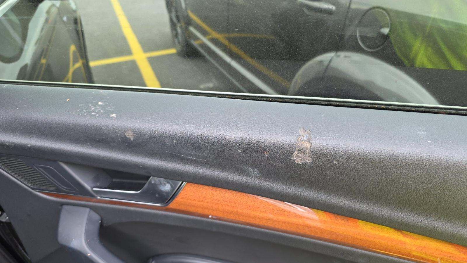 2023 Audi Q5 S line Premium Plus AWD