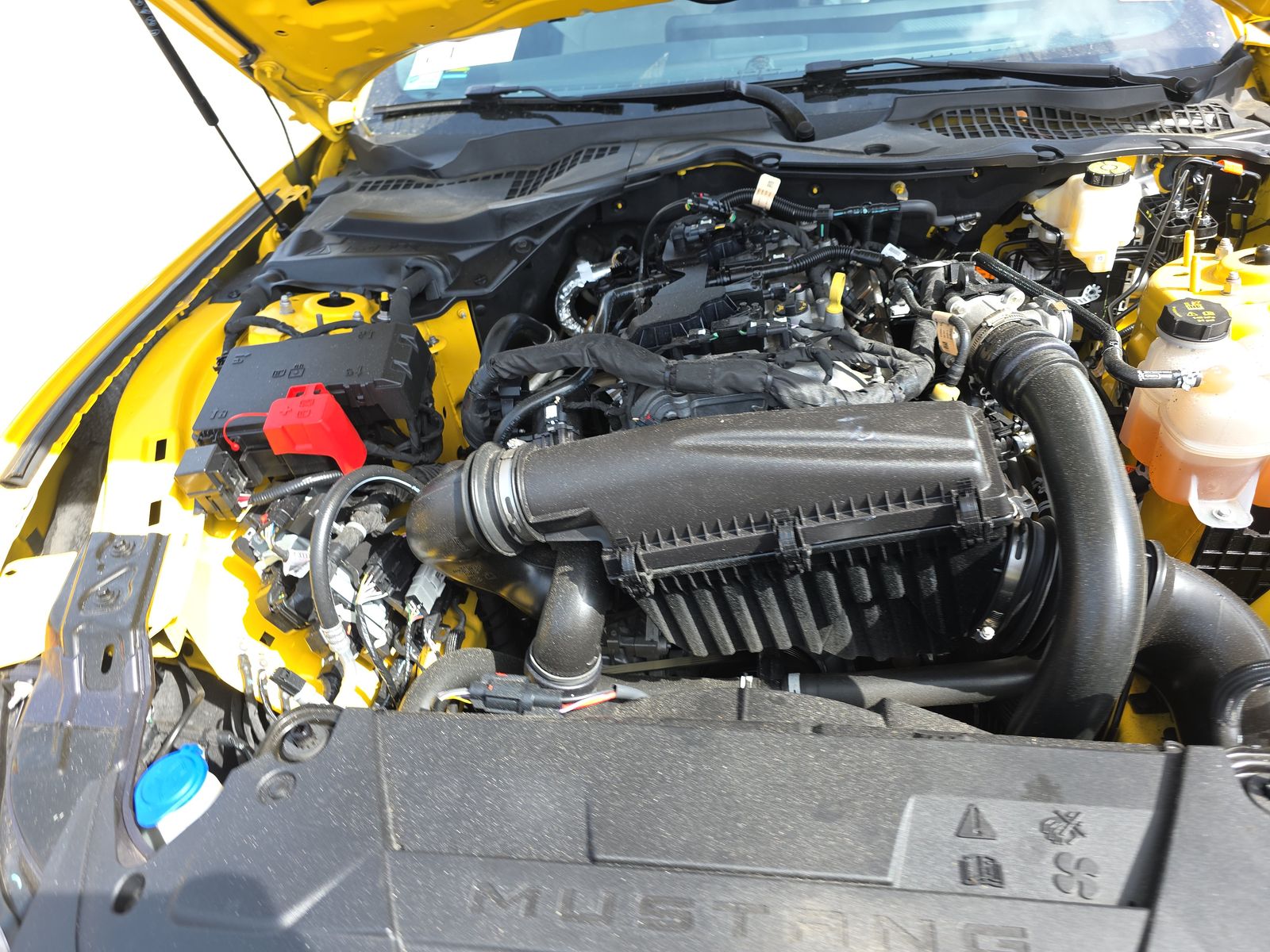 2024 Ford Mustang EcoBoost Premium RWD