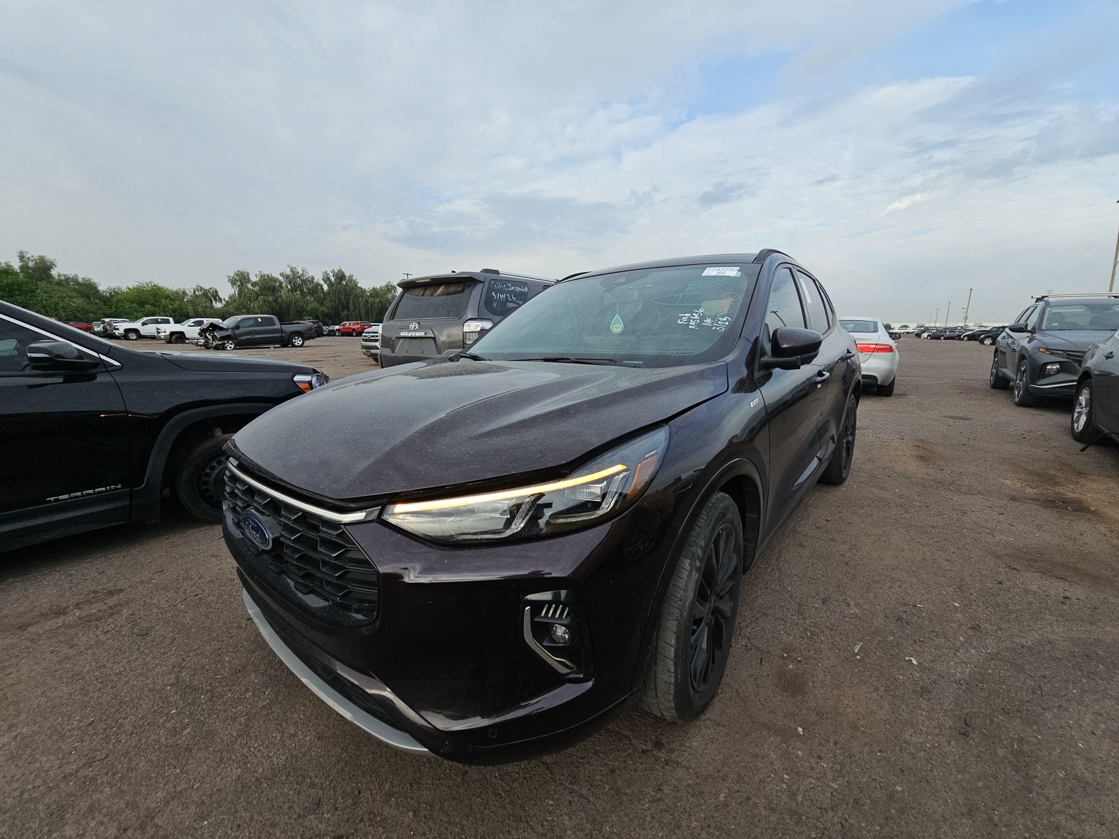 2023 Ford Escape ST-Line Elite AWD