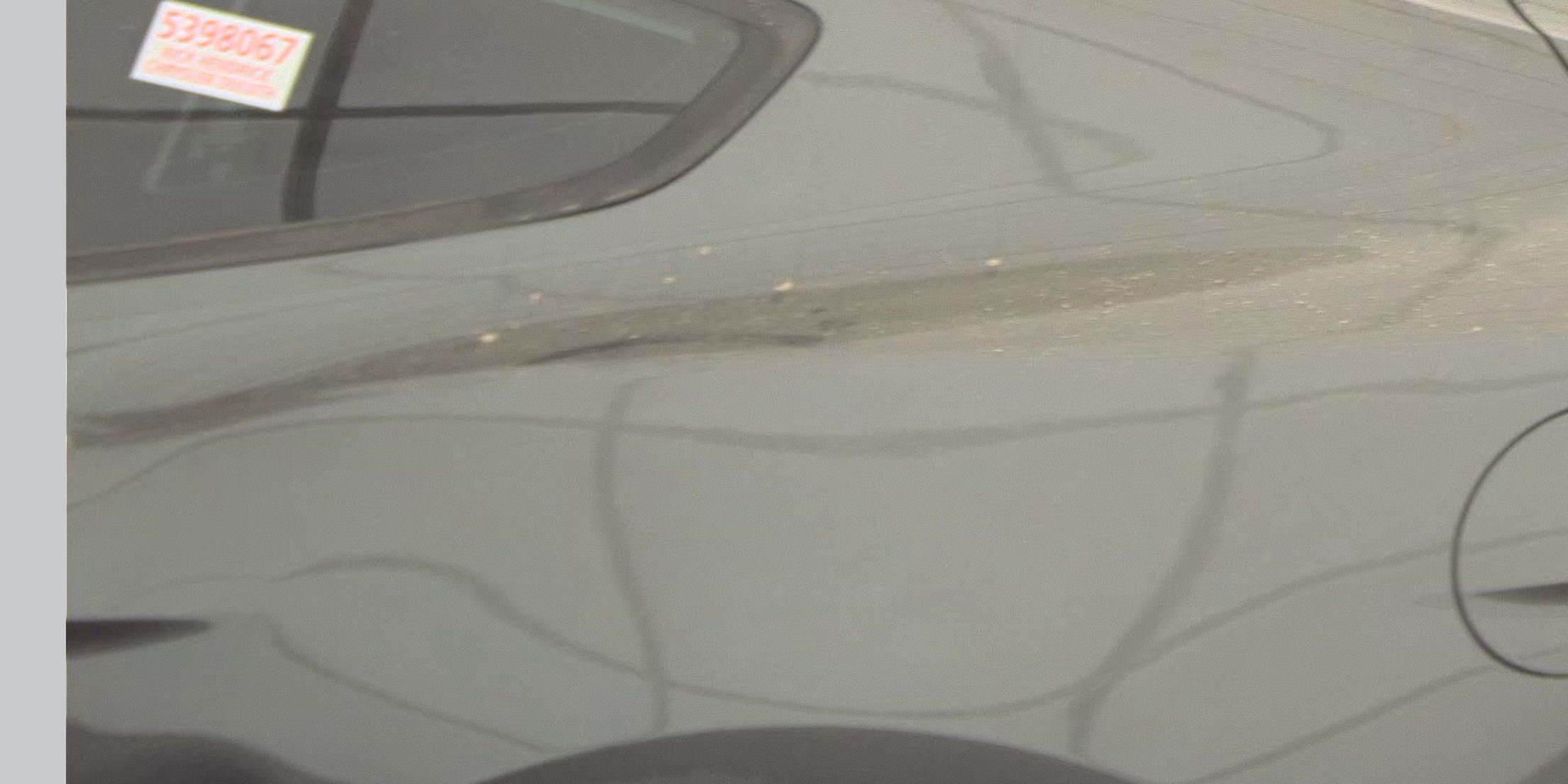 2016 Ford Mustang GT RWD