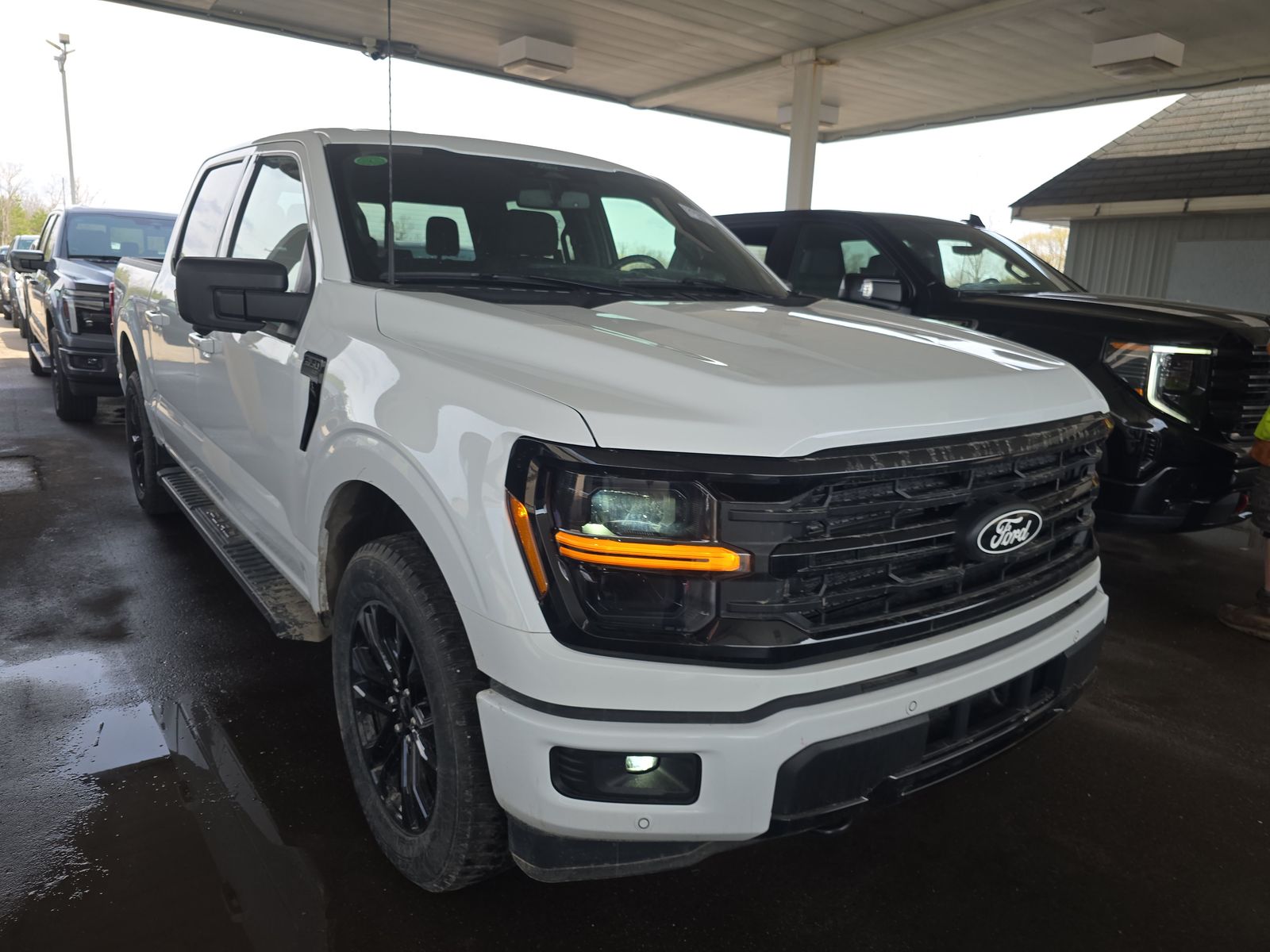 2024 Ford F-150 XLT AWD