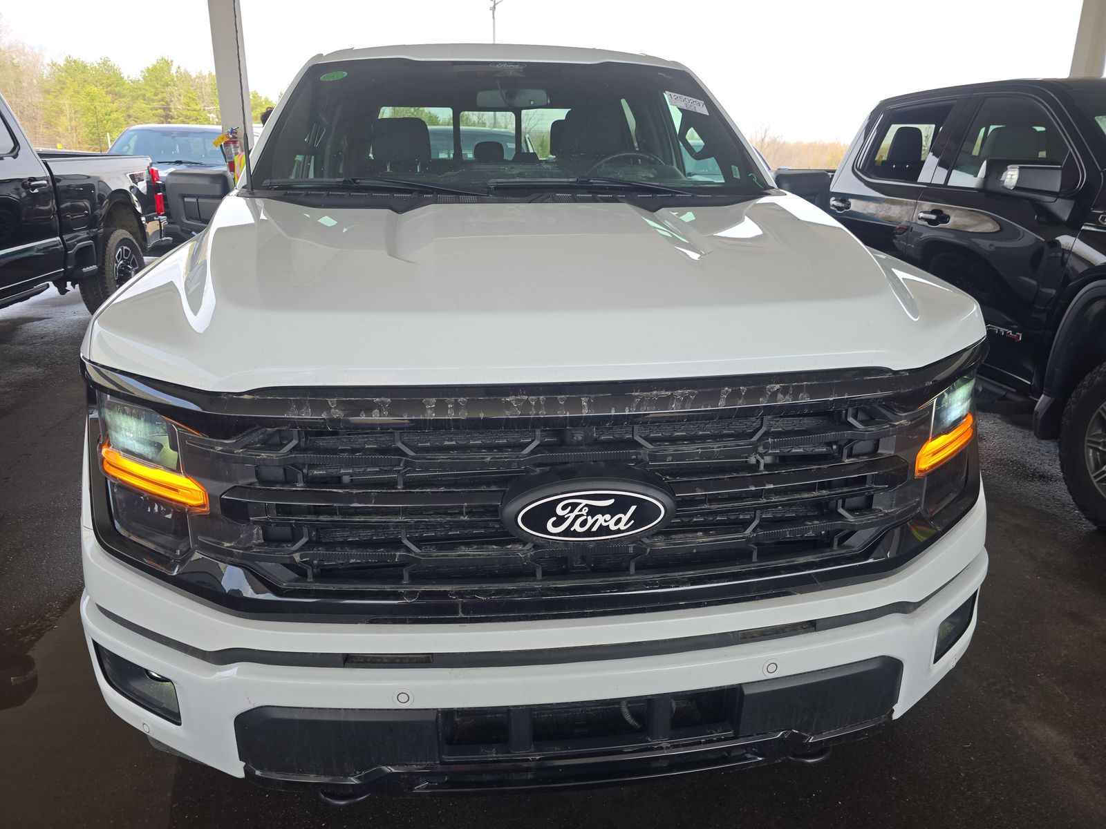 2024 Ford F-150 XLT AWD