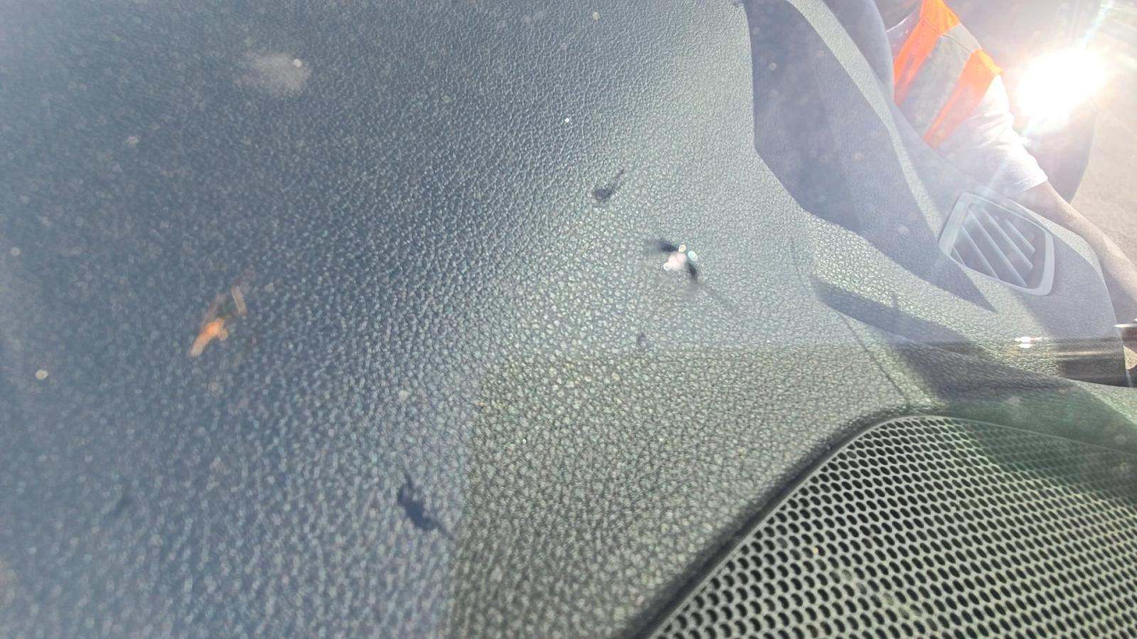 2020 Audi Q7 3.0T Premium Plus AWD