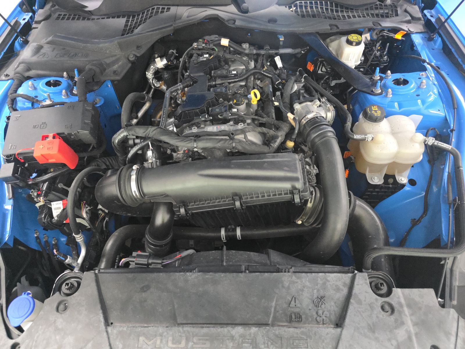 2024 Ford Mustang EcoBoost Premium RWD