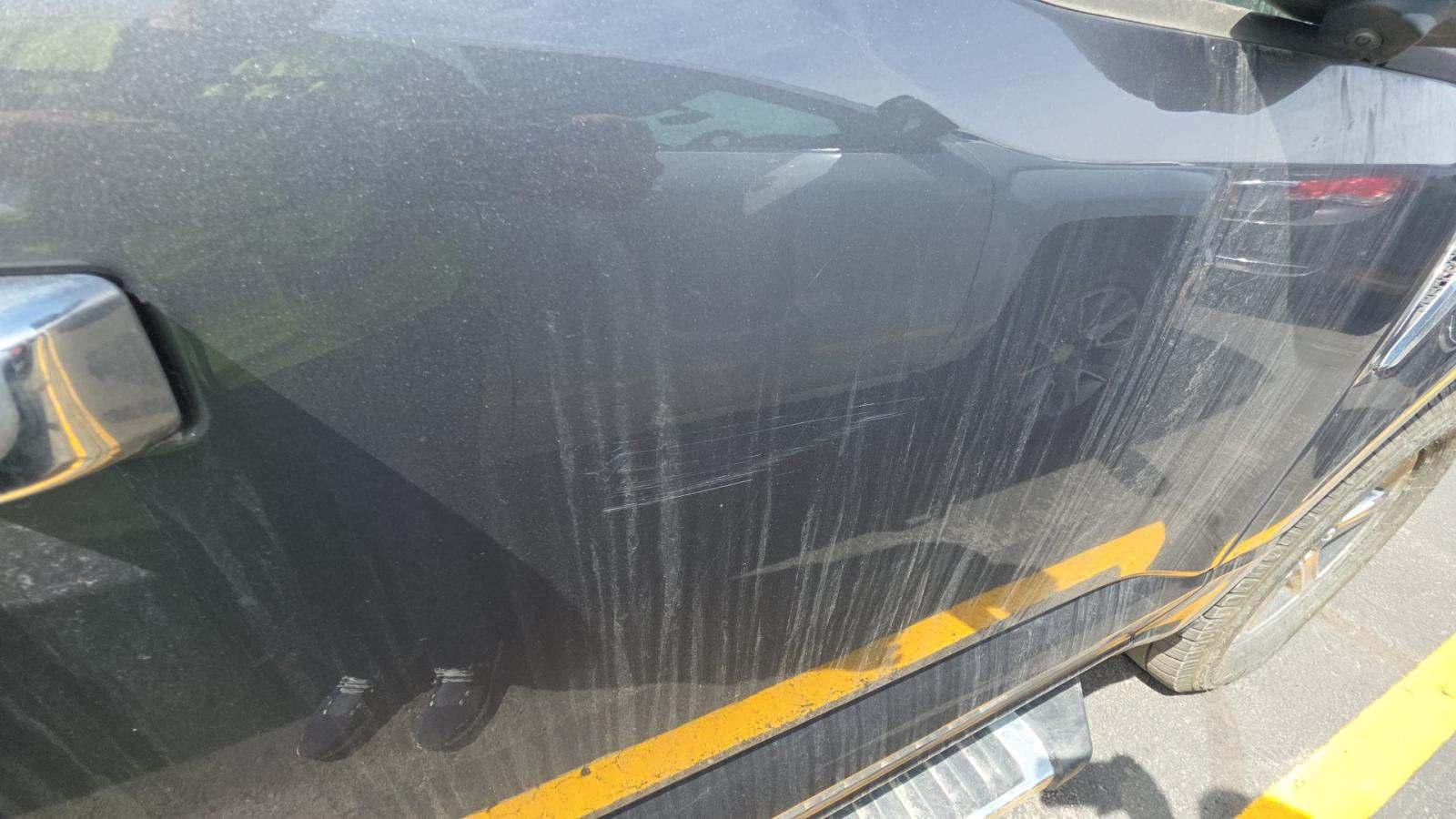 2024 Ford F-150 XLT AWD