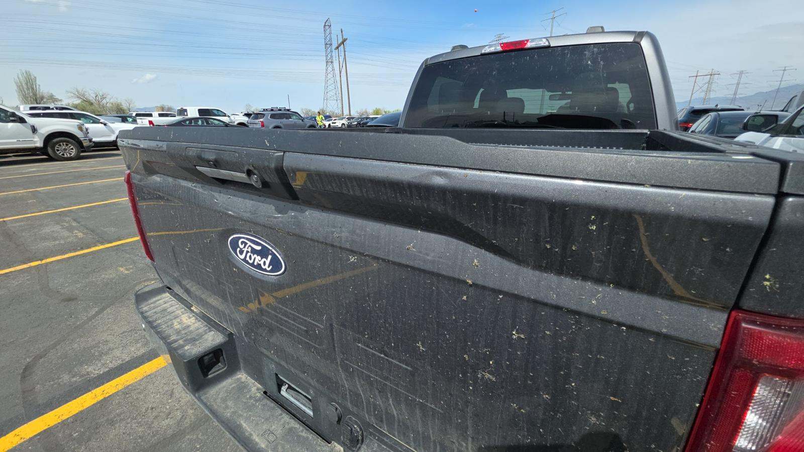 2024 Ford F-150 XLT AWD