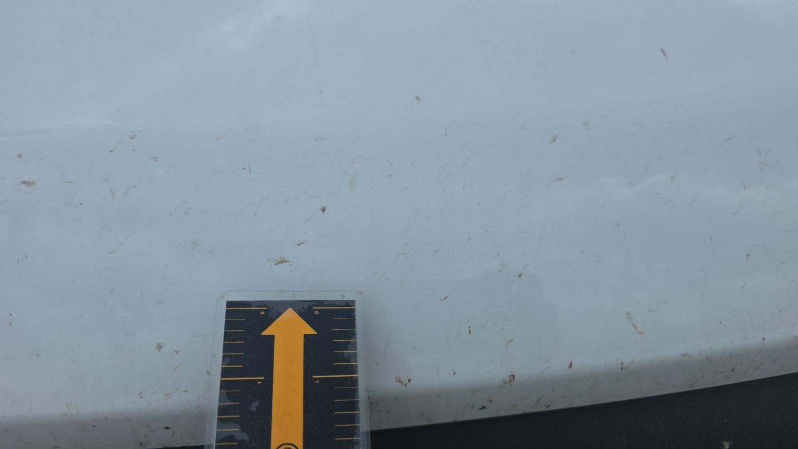 2022 Ford F-150 XL AWD