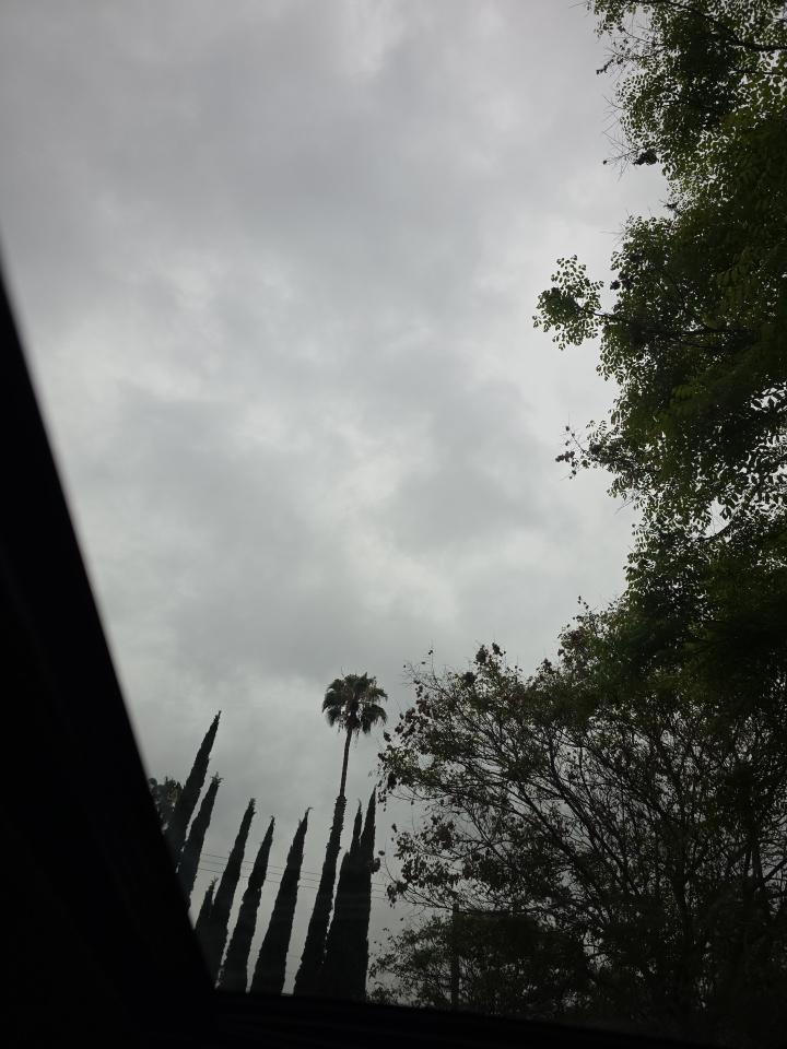 2019 Lexus ES ES 300h Luxury FWD