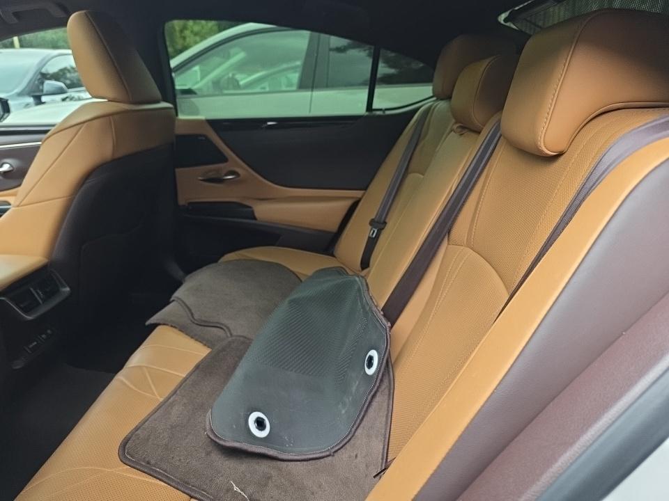 2019 Lexus ES ES 300h Luxury FWD