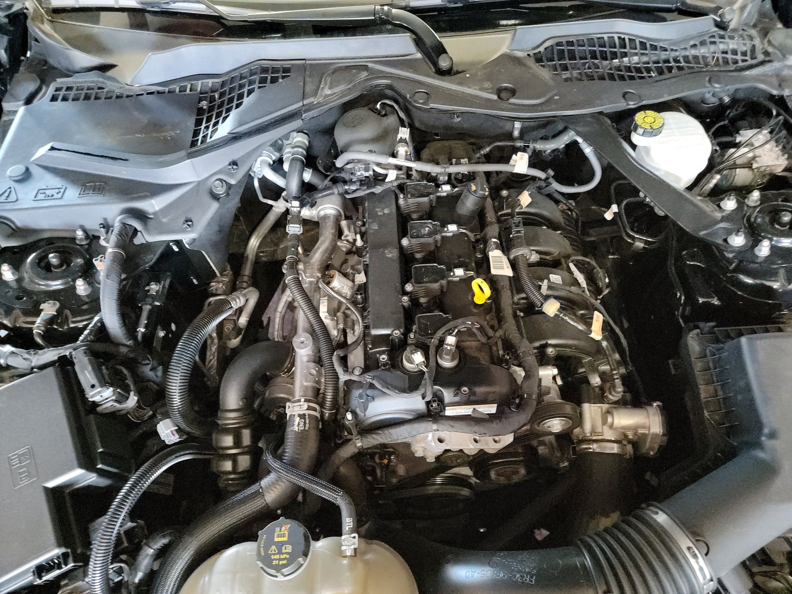 2023 Ford Mustang EcoBoost Premium RWD