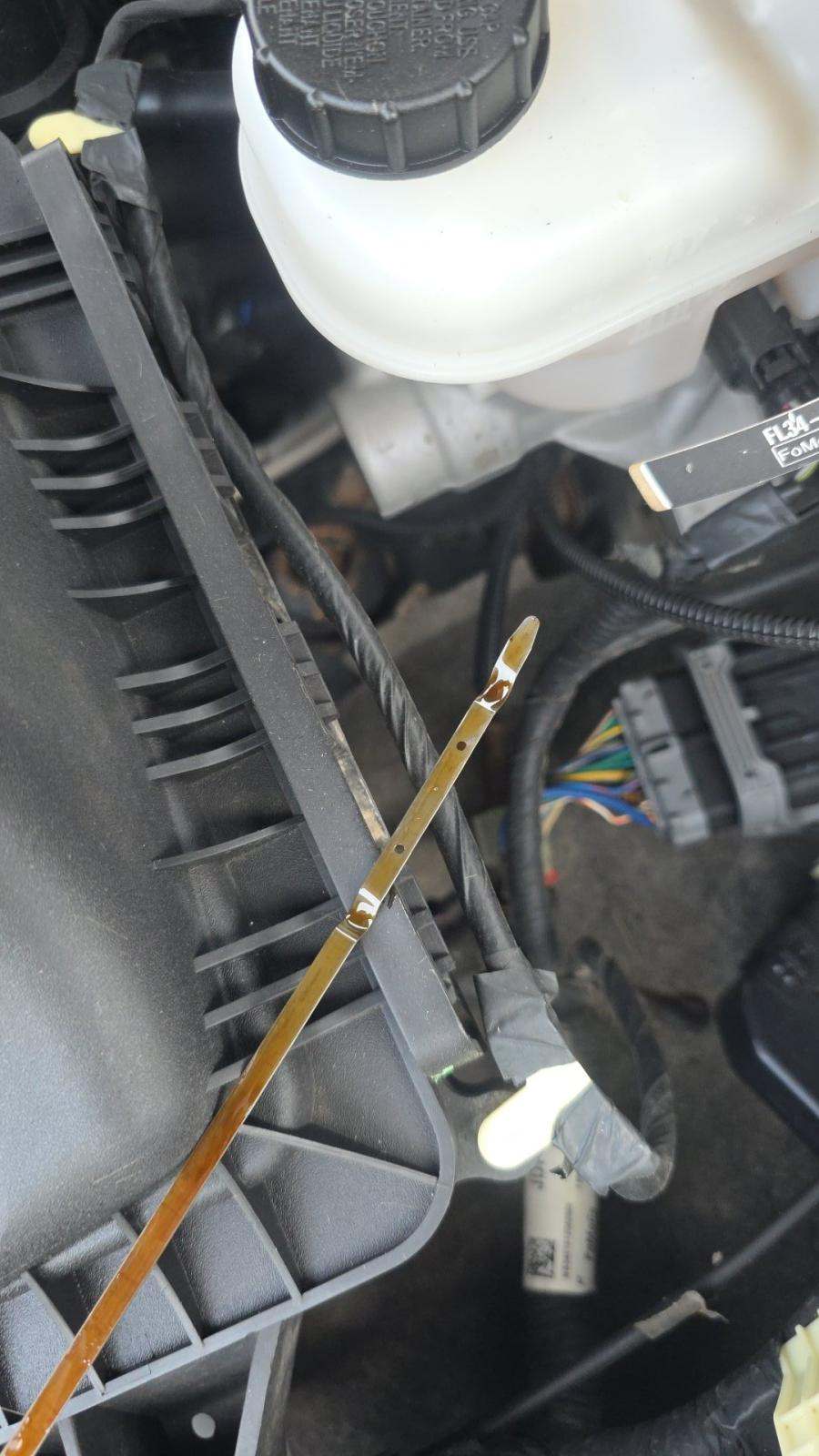 2019 Ford F-150 XLT AWD