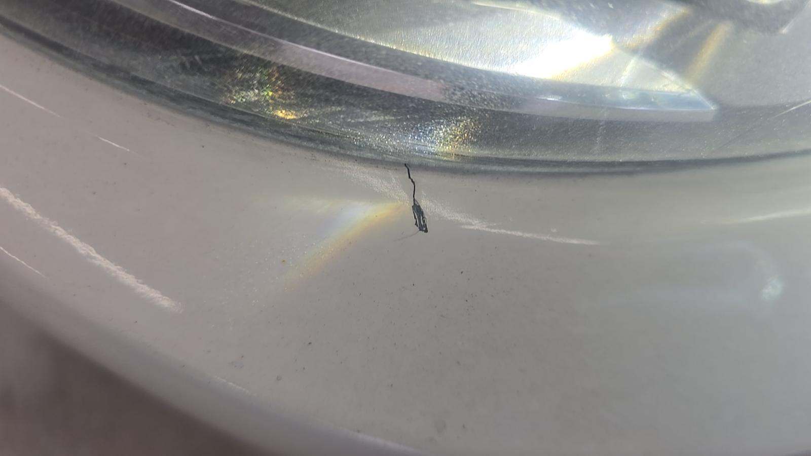 2020 BMW 4 Series 430i xDrive AWD