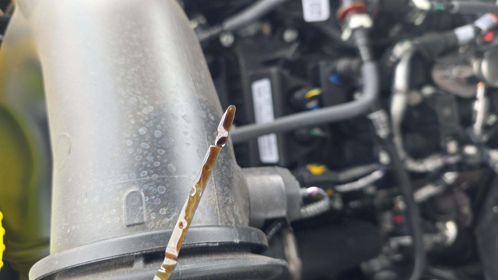 2025 Ford F-150 Hybrid XLT AWD