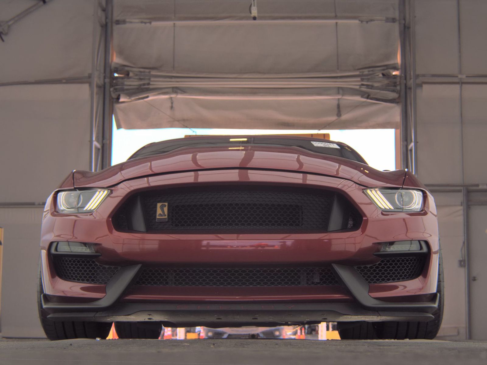 2017 Ford Mustang Shelby GT350 RWD