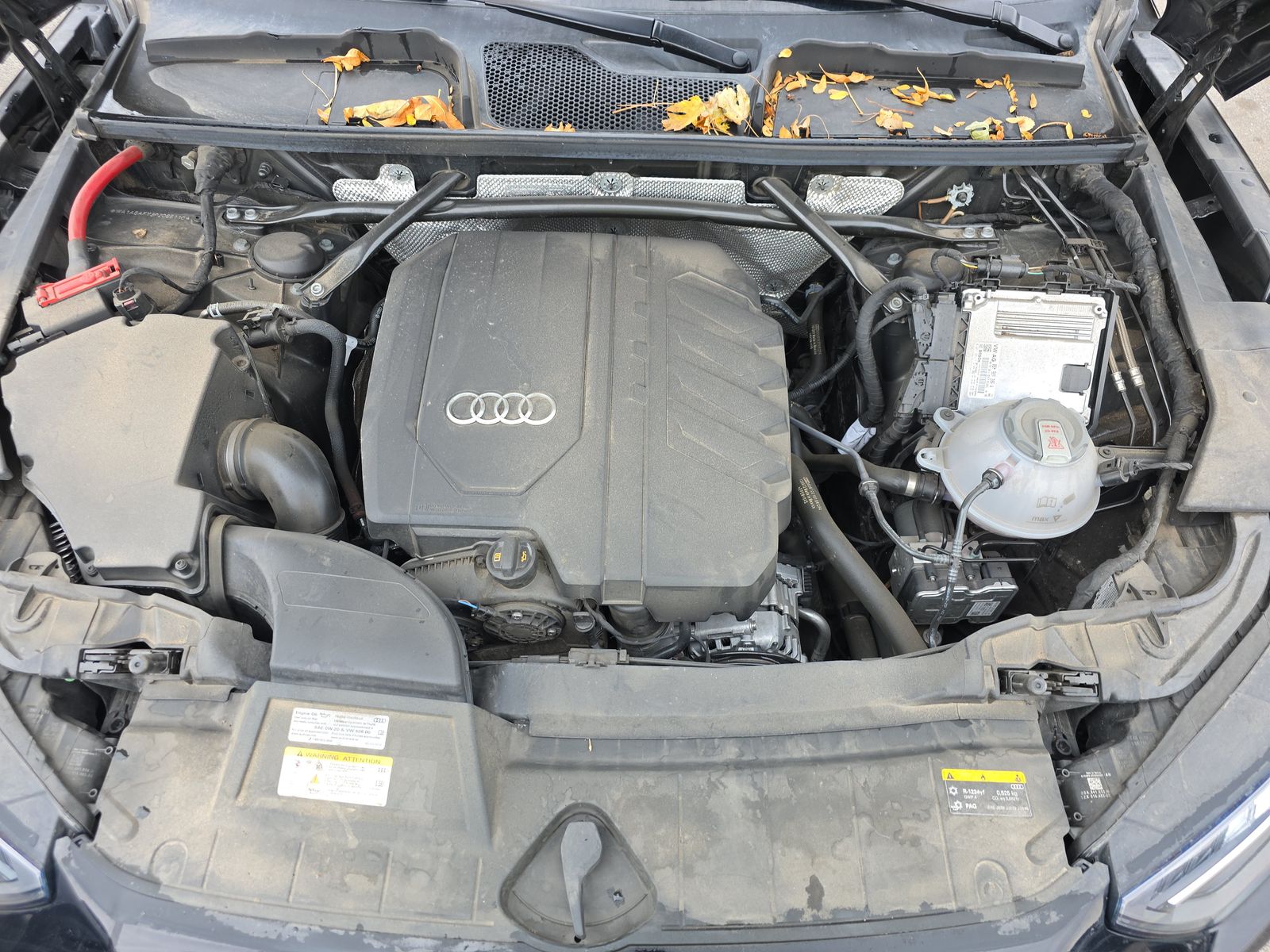 2023 Audi Q5 Premium AWD