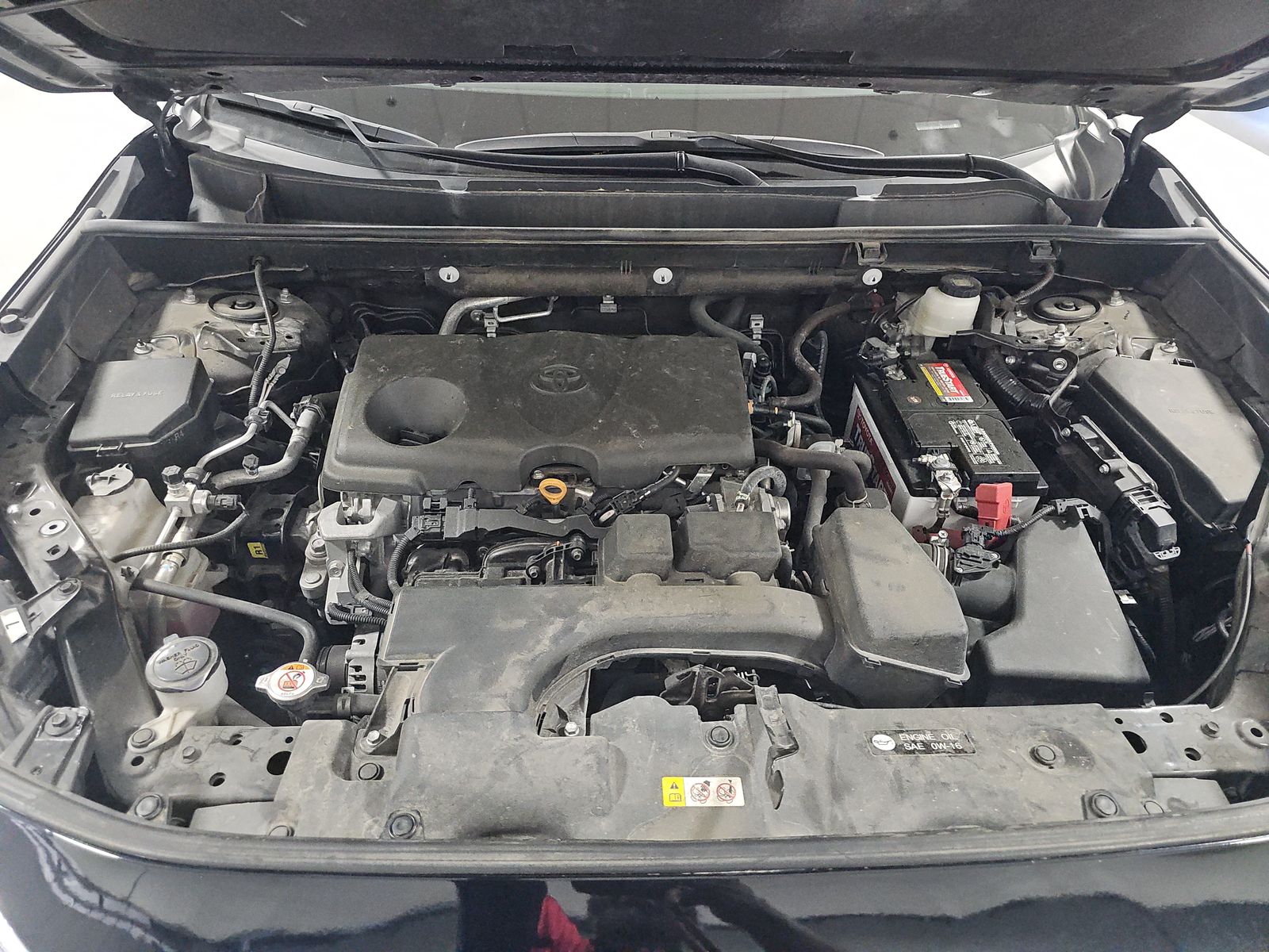 2023 Toyota RAV4 XLE Premium FWD