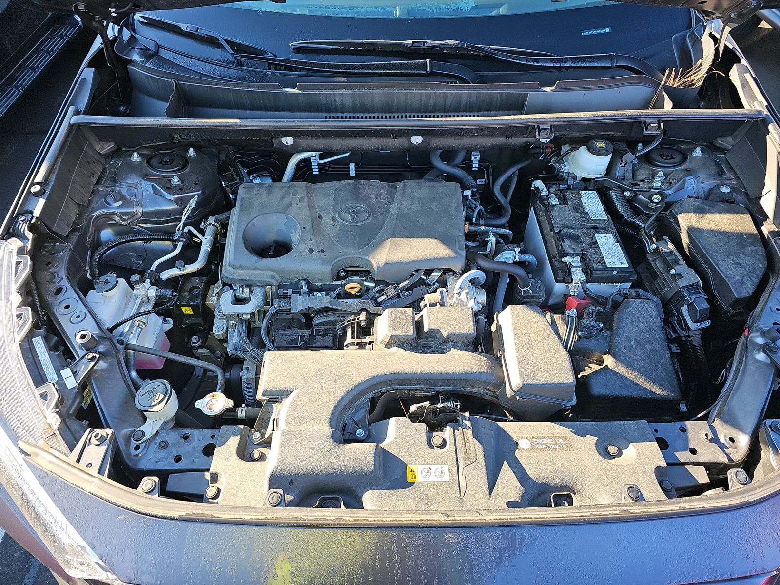 2024 Toyota RAV4 LE AWD