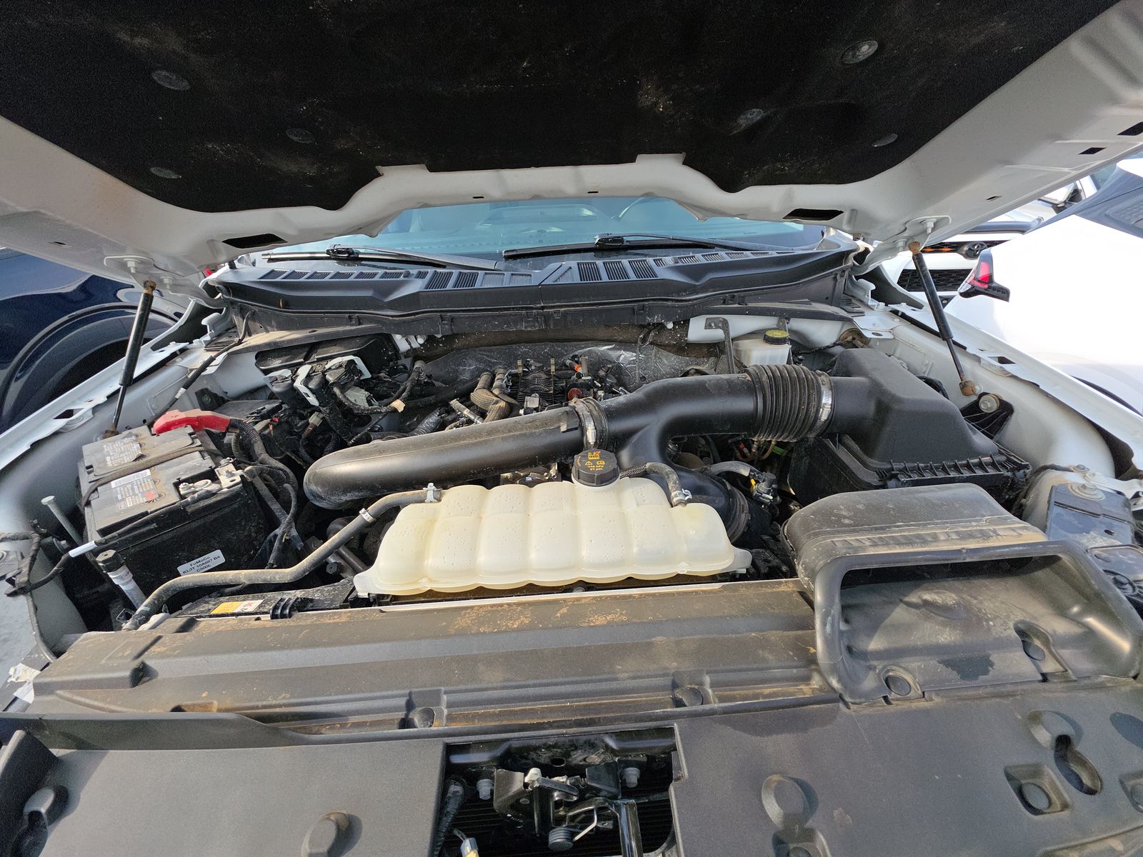 2024 Ford F-150 XLT AWD