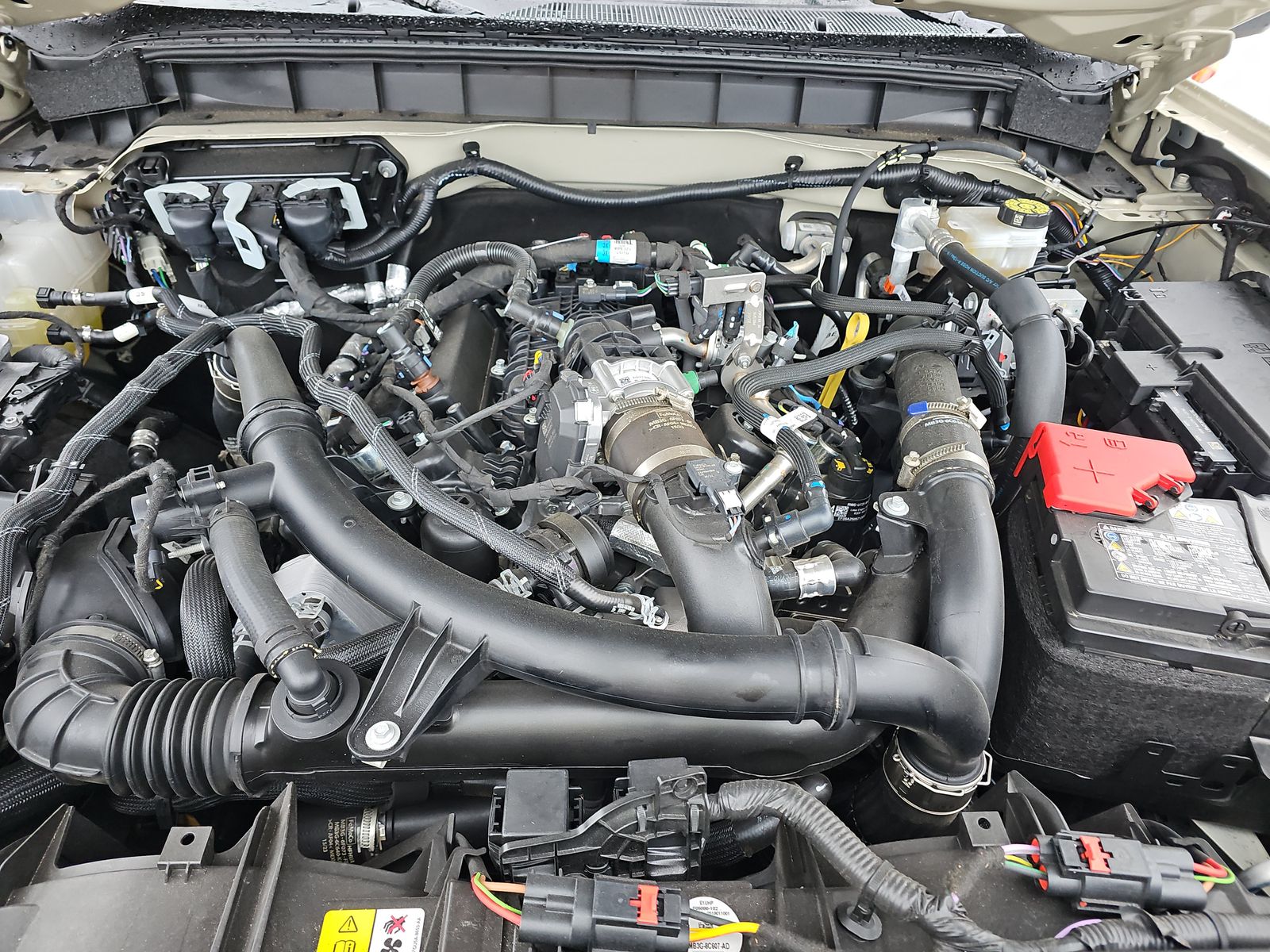 2022 Ford Escape SEL AWD